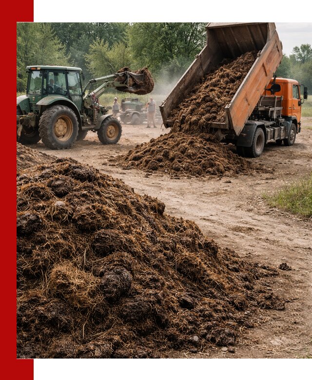 Доставка навоза самосвалами в Сасове для сельхозпотребностей